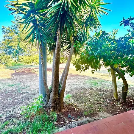 Bed & Breakfast Feudo Di Anticaglia Briatico